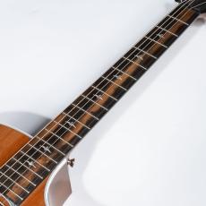 Taylor LTD 414ce SRW_7