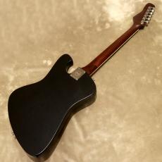 Baum Guitars Backwing, Dark Moon_3