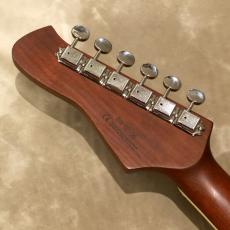 Baum Guitars Backwing, Dark Moon_5