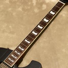 Baum Guitars Backwing, Dark Moon_6