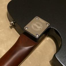 Baum Guitars Backwing, Dark Moon_9