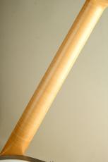 Relish Guitars Snow Jane_7