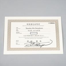 YAMAHA YAS-875EX_6