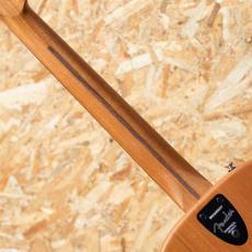Fender HIGHWAY SERIES PARLOR Mahogany_7