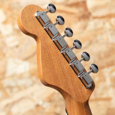 Fender HIGHWAY SERIES PARLOR Mahogany_9