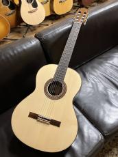 Paco Castillo 203 松【スペイン製】_3