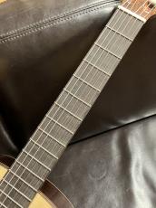 Paco Castillo 203 松【スペイン製】_7