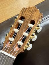 Paco Castillo 203 松【スペイン製】_9