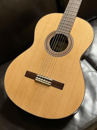Paco Castillo 203 杉【スペイン製】