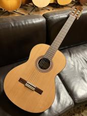 Paco Castillo 203 杉【スペイン製】_3