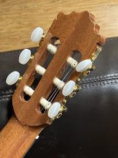 Paco Castillo 203 杉【スペイン製】_10