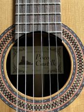 Paco Castillo 203 杉【スペイン製】_11