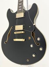 Sire Larry Carlton H7 BLK