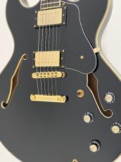 Sire Larry Carlton H7 BLK_3