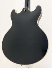 Sire Larry Carlton H7 BLK_6
