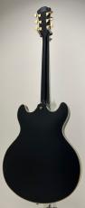 Sire Larry Carlton H7 BLK_7