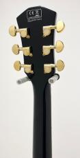 Sire Larry Carlton H7 BLK_9
