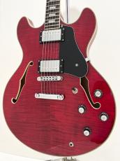 Sire Larry Carlton H7 STR