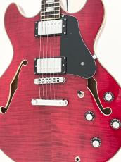 Sire Larry Carlton H7 STR_3