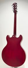 Sire Larry Carlton H7 STR_7