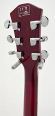 Sire Larry Carlton H7 STR_9