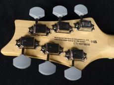 Paul Reed Smith [PRS] SE Silver Sky Platinum Spark 2025_9