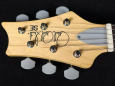 Paul Reed Smith [PRS] SE Silver Sky Gold Spark 2025_5