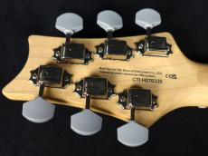 Paul Reed Smith [PRS] SE Silver Sky Gold Spark 2025_9