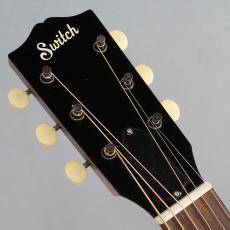 Switch SL-1 Irene_3