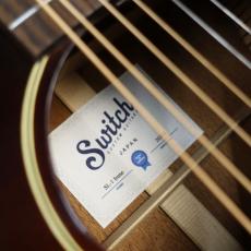 Switch SL-1 Irene_10
