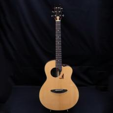 aNueNue LS700E_2