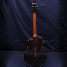 aNueNue LS700E_3