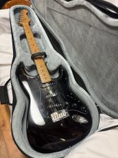 STENTOR SEC-100 ST・TL兼用エレキギター用セミハードケース_8