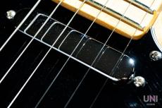 Fender American Professional Telecaster / 2017_5