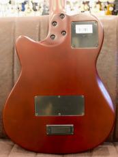 Godin 【中古ご委託品】Multiac Nylon Duet Ambiance【デュアルピックアップ】_5