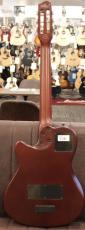 Godin 【中古ご委託品】Multiac Nylon Duet Ambiance【デュアルピックアップ】_6