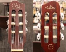 Godin 【中古ご委託品】Multiac Nylon Duet Ambiance【デュアルピックアップ】_9