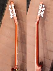 Godin 【中古ご委託品】Multiac Nylon Duet Ambiance【デュアルピックアップ】_11