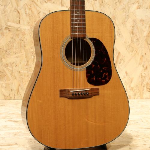 Martin D-18 2010