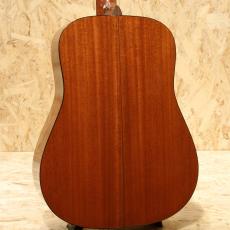 Martin D-18 2010_2