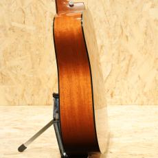Martin D-18 2010_5