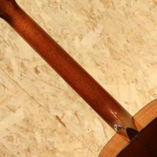 Martin D-18 2010_7