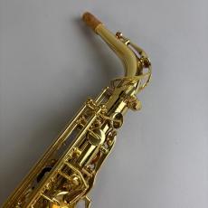 Buffet Crampon BCA-S 【2026/9調整完了予定】_2