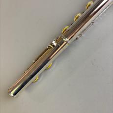 Sankyo Etude PA C/C 【2026/9調整完了予定】_8