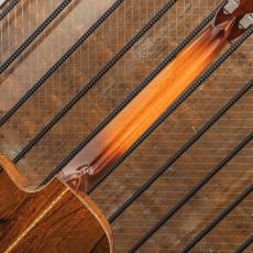 Schoenberg Guitars Soloist Cutaway Jacaranda / 1988_8