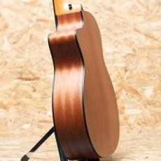 Taylor 114ce LTD Blacktop_5