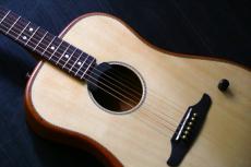 Fender HIGHWAY SERIES DREADNOUGHT　ゴトー・マグナムロックペグ付き_5