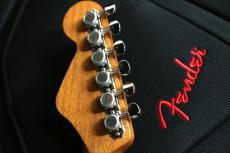 Fender HIGHWAY SERIES DREADNOUGHT　ゴトー・マグナムロックペグ付き_6