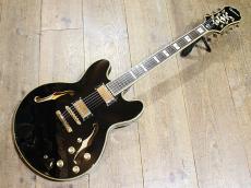 Epiphone Sheraton II Pro_2