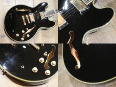 Epiphone Sheraton II Pro_6